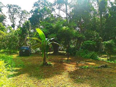Tanah Dusun Durian 1.24  Ekar Batu 19 Hulu Langat Selangor