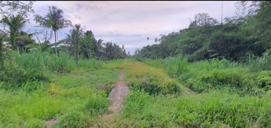 Agricultural-Land-for-sale-Balik-Pulau-Penang