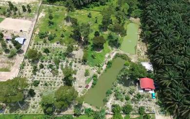 Agricultural-Land-for-sale-Hulu-Langat-Selangor