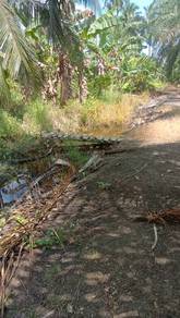 Agricultural-Land-for-sale-Bagan-Datoh-Perak-3