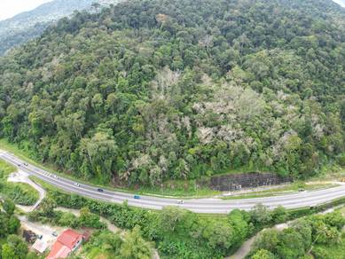 3.05 EKAR FREEHOLD NON BUMI | Tanah Pertanian Terachi Kuala Pilah