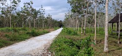 Lot Kebun Getah, Rambai Kubor Panjang, Pendang