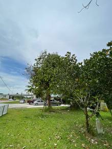 Tanjung Kupang agricultural land/ non bumi/ freehold/ near second link