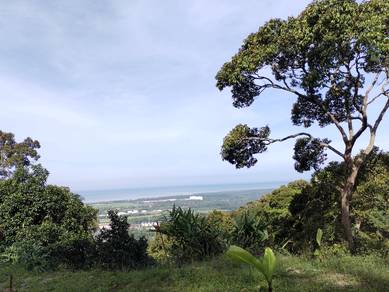Agricultural-Land-for-sale-Balik-Pulau-Penang