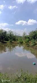 Agricultural-Land-for-sale-Jelebu-Negeri-Sembilan