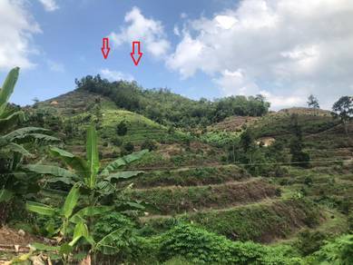 Agricultural-Land-for-sale-Bentong-Pahang