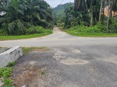 Agricultural-Land-for-sale-Kapar-Selangor