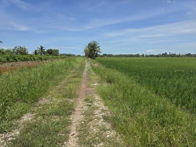 Agricultural-Land-for-sale-Jitra-Kedah
