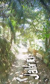 Agricultural-Land-for-sale-Bukit-Mertajam-Penang