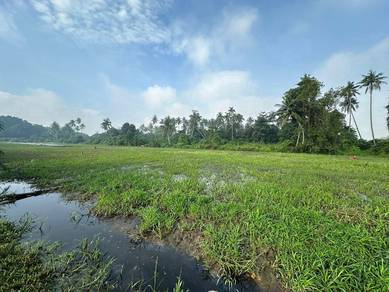 Tanah Pertanian Kampung Haji Rantau Panjang, Klang untuk Dijual