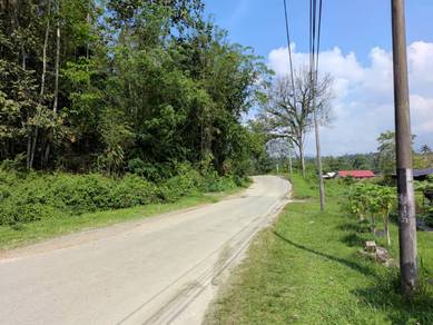 TEPI JALAN - Tanah Pertanian 1.5 Ekar Janda Baik Bentong Pahang