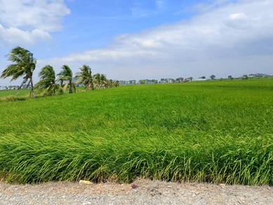 Tanah Bendang Pemandangan Cantik berdekatan pekan JITRA utk DIJUAL!
