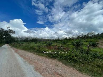 Tanah Sawit tepi jalan masuk utama di Nami, Padang Terap utk DIJUAL!!!