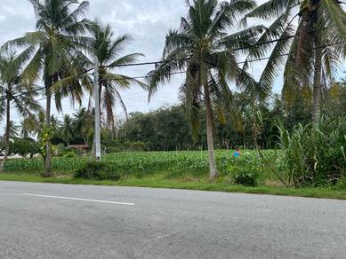 Tanah Kampung tepi jalan UTAMA untuk DIJUAL di Kodiang, Kedah!!!