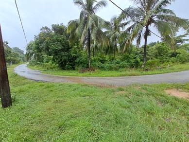 Tanah Tanjung Medang, Pekan, Pahang