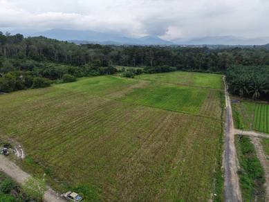 Agricultural-Land-for-sale-Batang-Kali-Selangor
