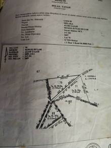 Agricultural-Land-for-rent-Alor-Gajah-Melaka