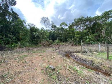 TANAH PERTANIAN 1 EKAR KG SAYANG, SEDILI UTK DIjUAL
