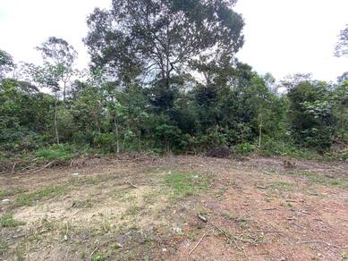 TANAH PERTANIAN 1 EKAR KG SAYANG, SEDILI UTK DIjUAL