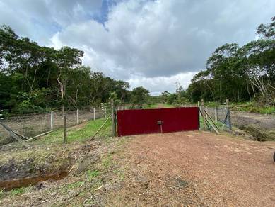 TANAH PERTANIAN 1 EKAR KG SAYANG, SEDILI UTK DIjUAL