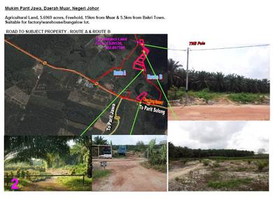 Agricultural Land at Muar, Johor. Freehold