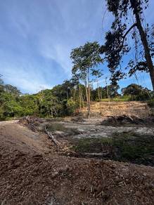 Murah !! Tanah Cantik !! Kg. Mampas Kecil