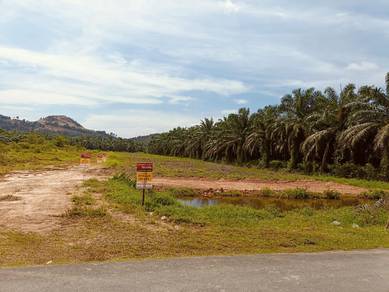 Tanah 1.5 Ekar Kg Bkt Hijau