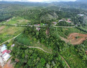 Agricultural-Land-for-sale-Batang-Kali-Selangor