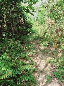 Agricultural-Land-for-sale-Jelebu-Negeri-Sembilan