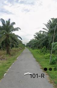 Agricultural-Land-for-sale-Banting-Selangor