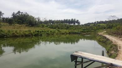 Agricultural-Land-for-sale-Hulu-Langat-Selangor