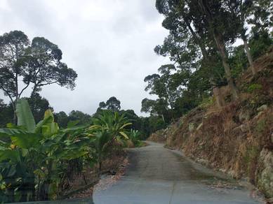 Agricultural-Land-for-sale-Balik-Pulau-Penang