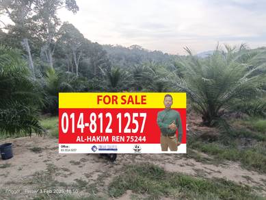 Freehold Non-Bumi Tanah Pertanian ada Kelapa Sawit. (RM95K/EKAR)