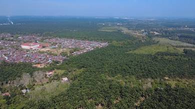 Agricultural-Land-for-sale-Kulim-Kedah
