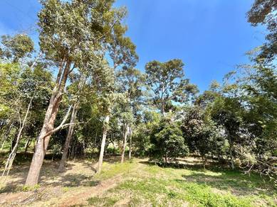 Agricultural-Land-for-sale-Sik-Kedah