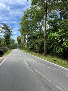 Agricultural-Land-for-sale-Sik-Kedah