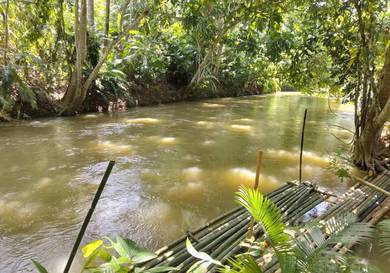 Agricultural-Land-for-sale-Jelebu-Negeri-Sembilan