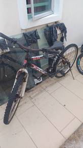 Bicycle Lama