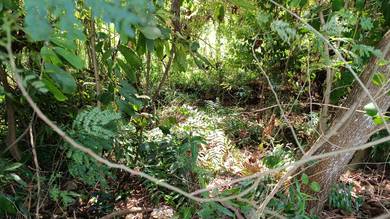 Agricultural-Land-for-sale-Melaka-Tengah-Melaka