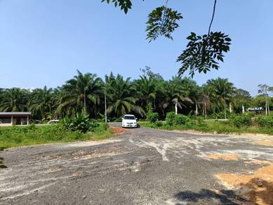 [FREEHOLD] Jasin Kesang Agriculture Land Facing Road @ Melaka