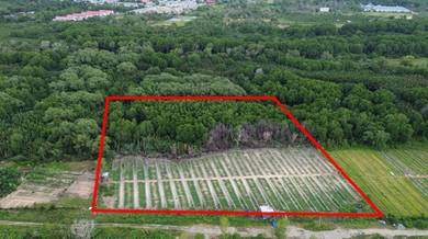 Shahbandar Tuaran / NT Land / 4.43 ACRES / Agricultural Land / Tuaran