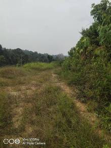 [URGENT] Tanah Sawit Terbiar Non Bumi 6.6 ekar Kuala Lipis Agriculture