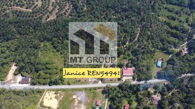 Agricultural-Land-for-sale-Kulim-Kedah