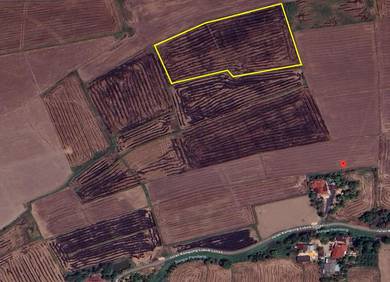 Agricultural-Land-for-sale-Alor-Setar-Kedah