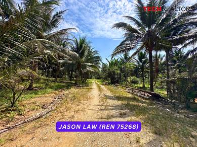 Agricultural Land - Thai Coconut Tree Karangan Kulim