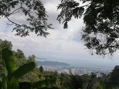Agricultural-Land-for-sale-Balik-Pulau-Penang