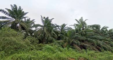 Kempas 31.25 Acre Zoning Industry Land RM32 psf Seelong Senai