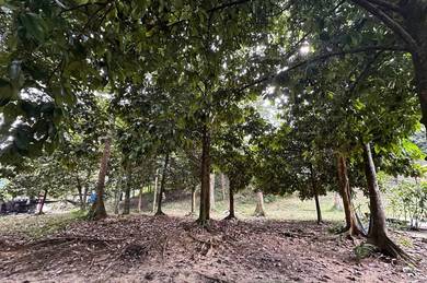 Agricultural-Land-for-sale-Selayang-Selangor