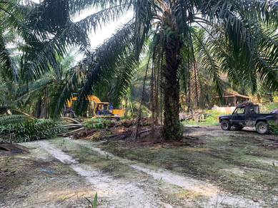 Residential-Land-for-sale-Besut-Terengganu-3