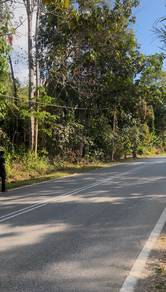 Agricultural-Land-for-sale-Sik-Kedah